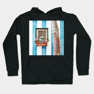 Mediterranean window with flowers Hoodie